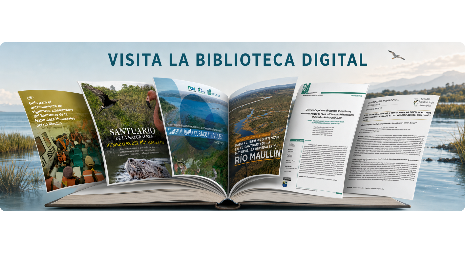 Visita la Biblioteca Digital
