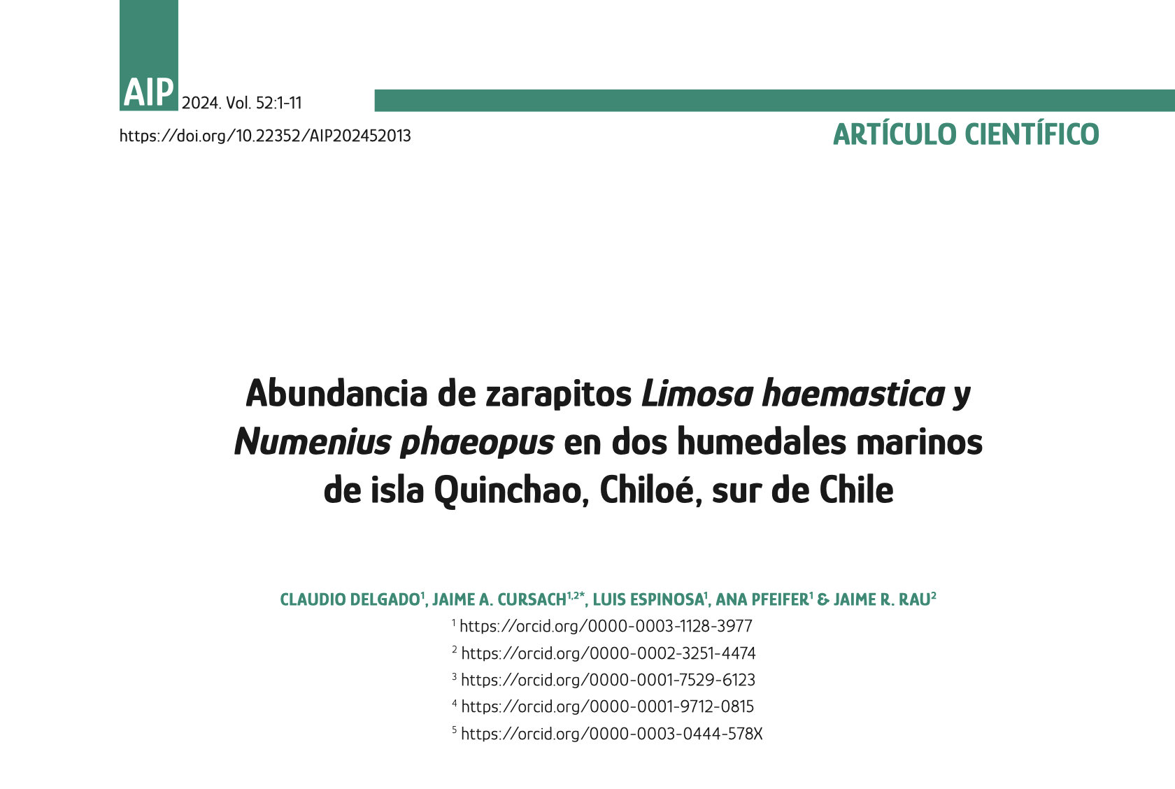 Abundancia de zarapitos Limosa haemastica y Numenius phaeopus en dos humedales marinos de isla Quinchao, Chiloé, sur de Chile
Este estudio se centra en la abundancia de zarapitos de pico recto (Limosa haemastica) y zarapito común (Numenius phaeopus) en dos humedales marinos de la isla Quinchao, en el archipiélago de Chiloé, sur de Chile. A lo largo de un período de diez años (2010-2020), se llevaron a cabo conteos estacionales en los humedales de Curaco de Vélez y Chullec.