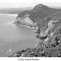 Population density and habitat characteristics