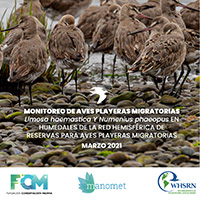 Informe monitoreo 2010 - 2020 Sitios RHRAP Chiloé - Maullín