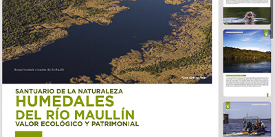 Santuario de la naturaleza humedales del río maullin, valor ecológico y patrimonial