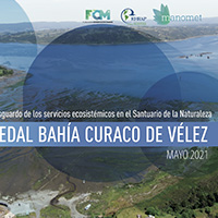 Estado y resguardo de los servicios ecosistemicos en Humedal Marino Curaco de Vélez