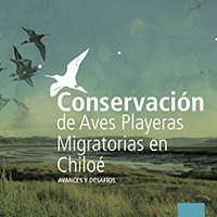 Revista cap