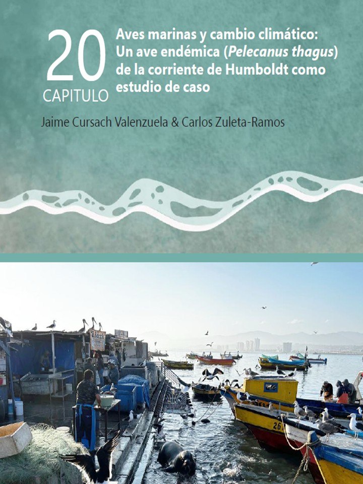 Sustentabilidad Zonas Litorales RISUE FINAL