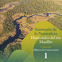 Coleccion miniguias