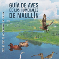Guia aves de Maullín