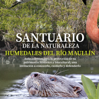 LIBRO SANTUARIO DE LA NATURALEZA HUMEDALES DEL RÍO MAULLÍN
