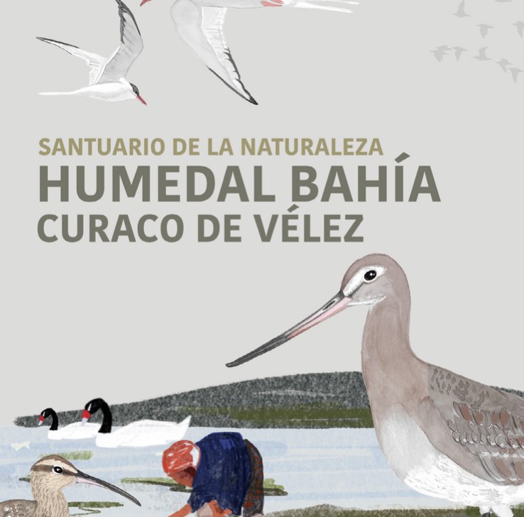 Libro Digital: Santuario de la Naturaleza Bahía Curaco de Vélez