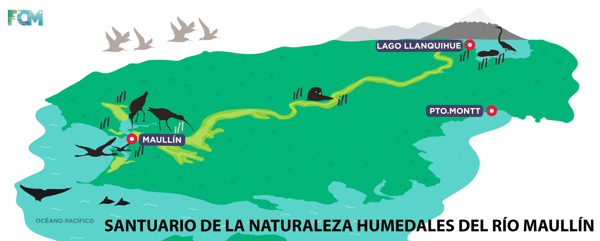Aprueban declaración de los humedales de Maullín como Santuario de la Naturaleza
