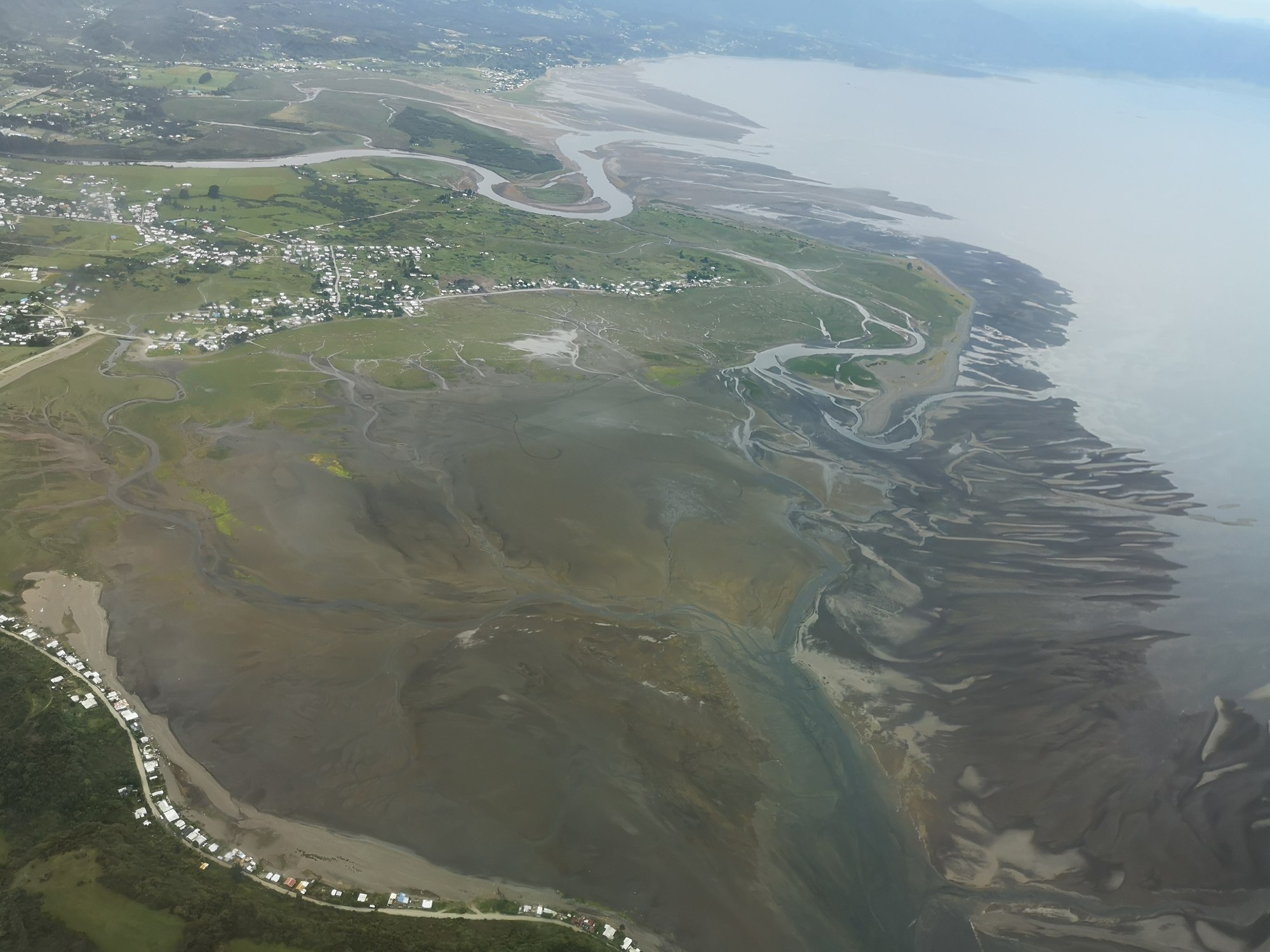 Proyecto busca resguardar aves playeras migratorias en humedales de Chamiza; Iniciativa es ejecutada de manera conjunta por la Fundación Conservación Marina y Red de Observadores de Aves y Vida Silvestre de Chile.