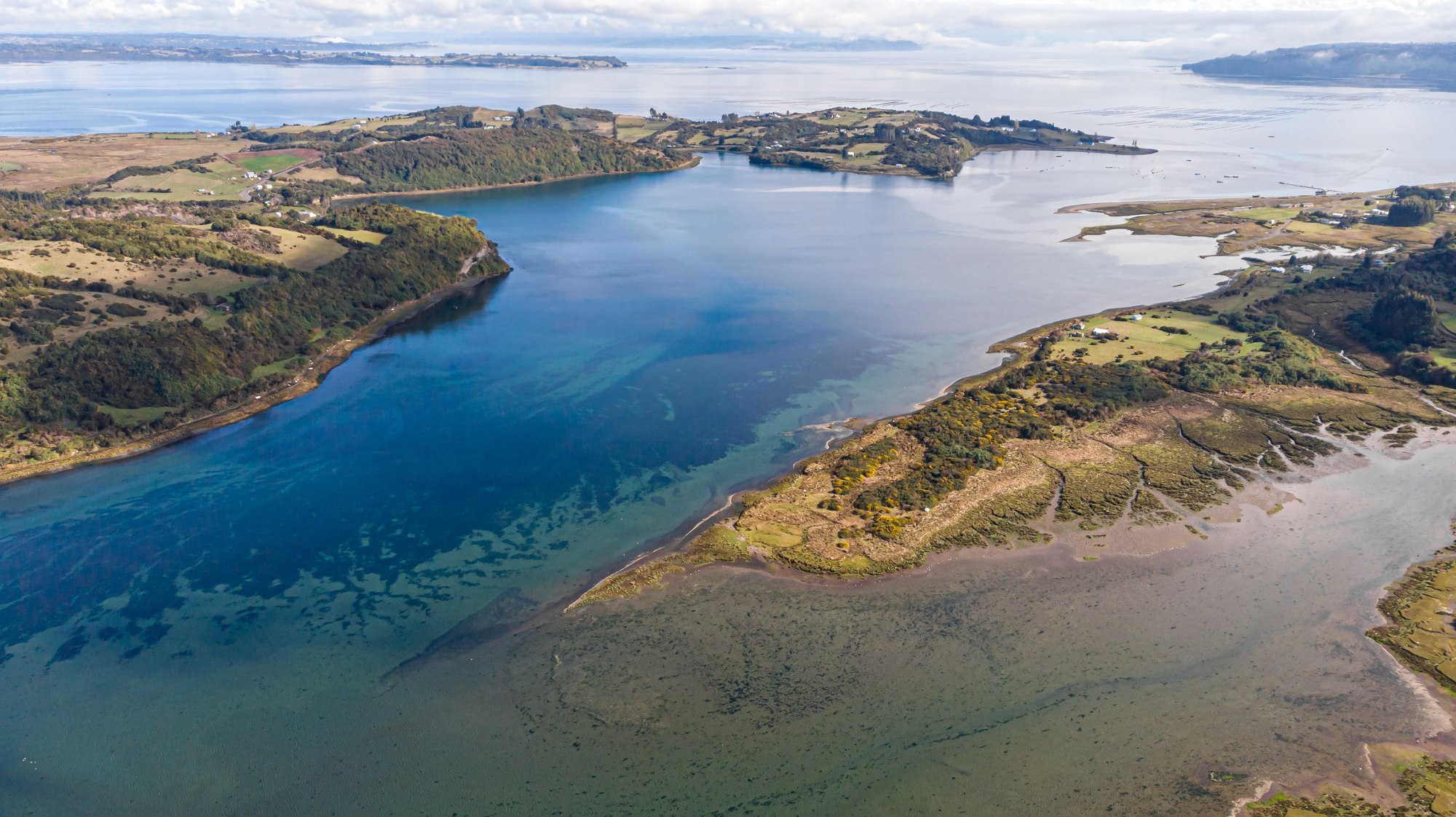 DOS NUEVAS PROPUESTAS DE SANTUARIOS DE LA NATURALEZA PARA CHILOÉ BUSCAN CONSERVAR HUMEDALES COSTEROS DE ALTO VALOR PARA LAS AVES MIGRATORIAS EN CHILOÉ