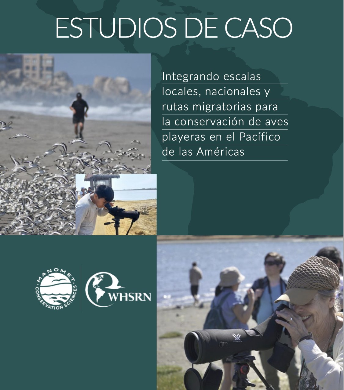 International study highlights the conservation experience of Curaco de Vélez Bay in a continent-wide analysis of shorebirds