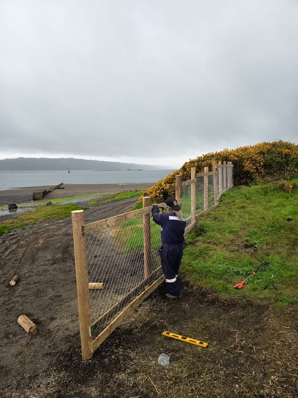 Observatorio de aves de Laguna Quenuir vuelve a operar tras su reparación y reubicación