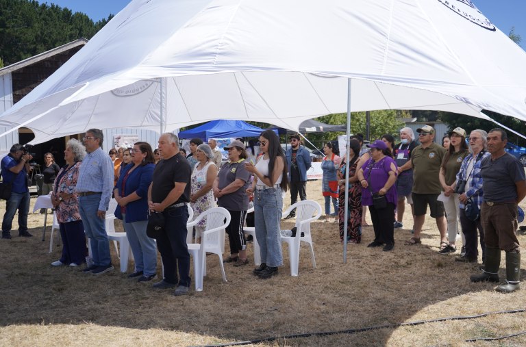 PRIMER FESTIVAL DE LAS AVES DEL SANTUARIO DE LA NATURALEZA HUMEDALES DEL RÍO MAULLÍN