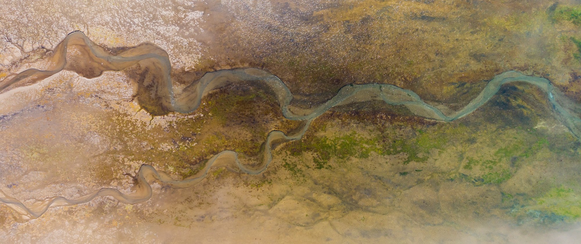 UN SANTUARIO DE LA NATURALEZA PARA CURACO DE VÉLEZ